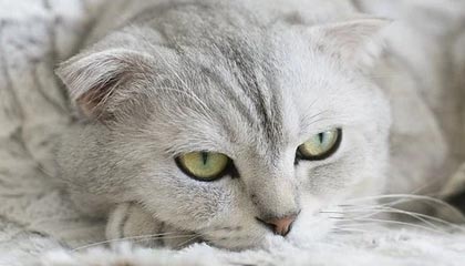 郑州伴游，定制QQ：3494206190微信：act1322